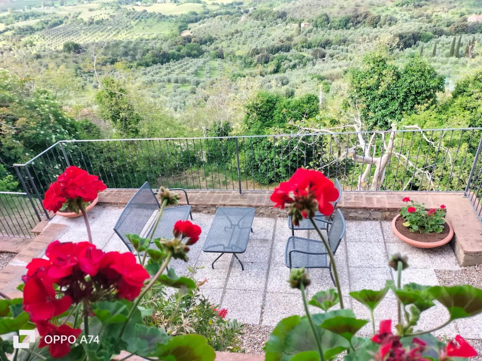 Bauernhof Tenuta Di Fattoria Montemassi